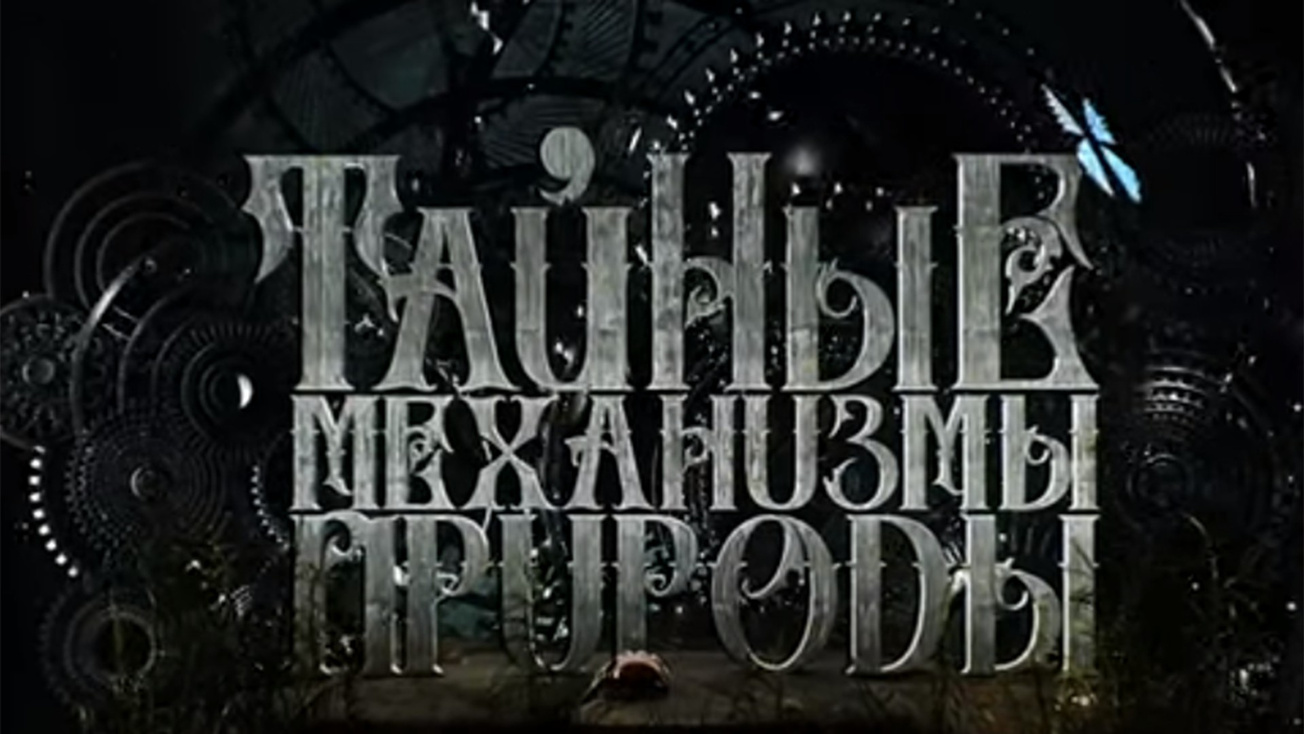 Изображение телепередачи: Тайные механизмы природы. Шри-Ланка: джунгли зовут!