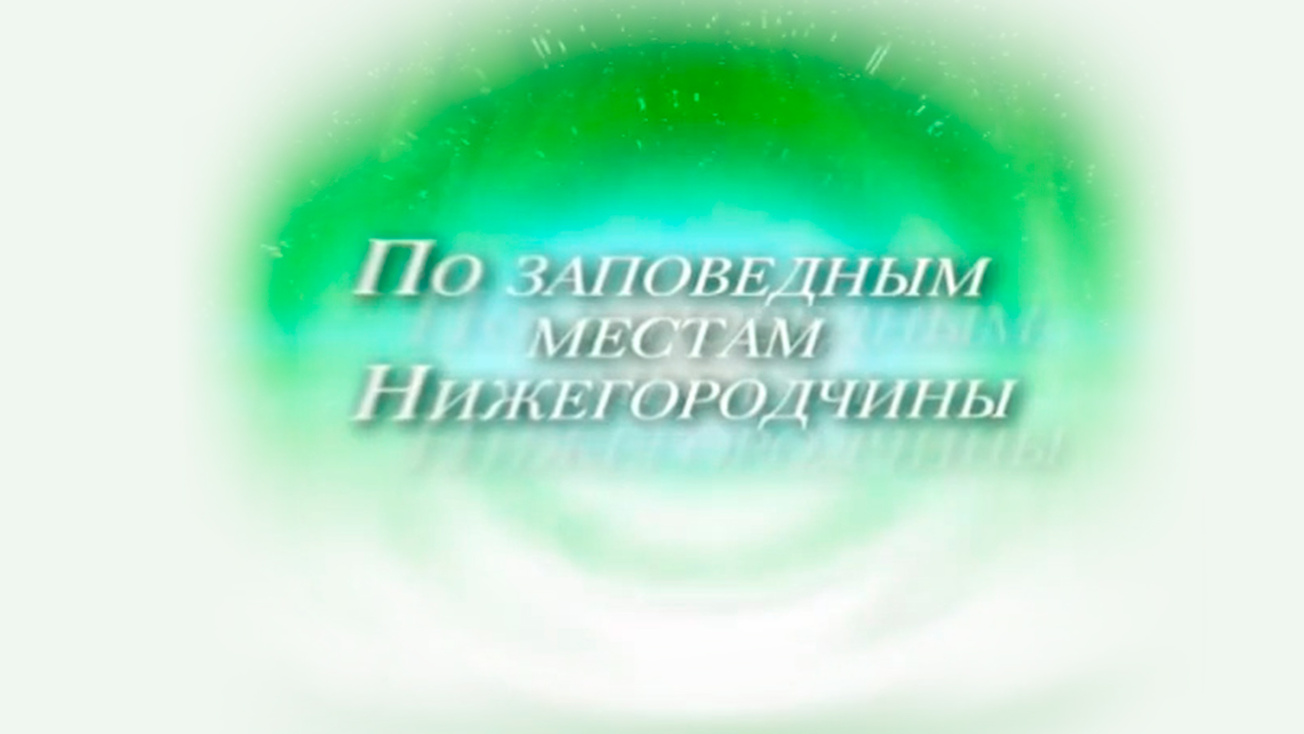 Изображение телепередачи: По заповедным местам Нижегородчины