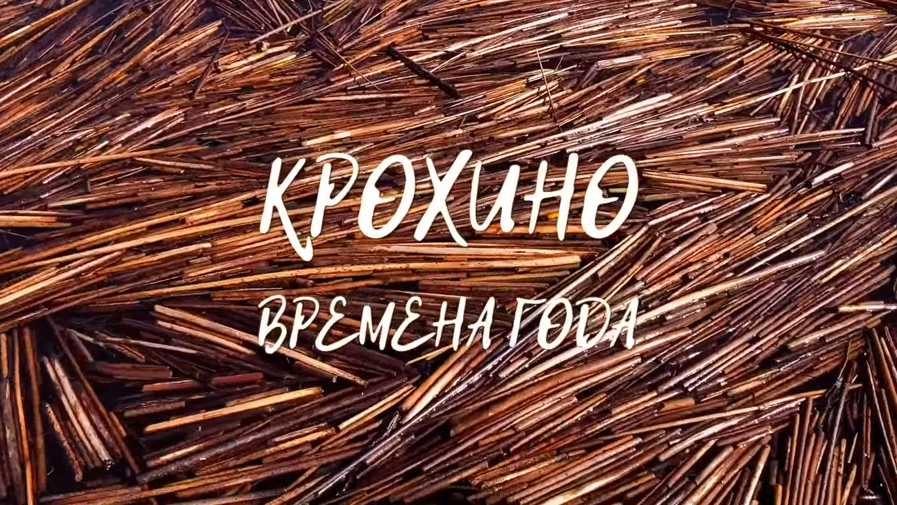 Изображение телепередачи: Крохино. Времена года