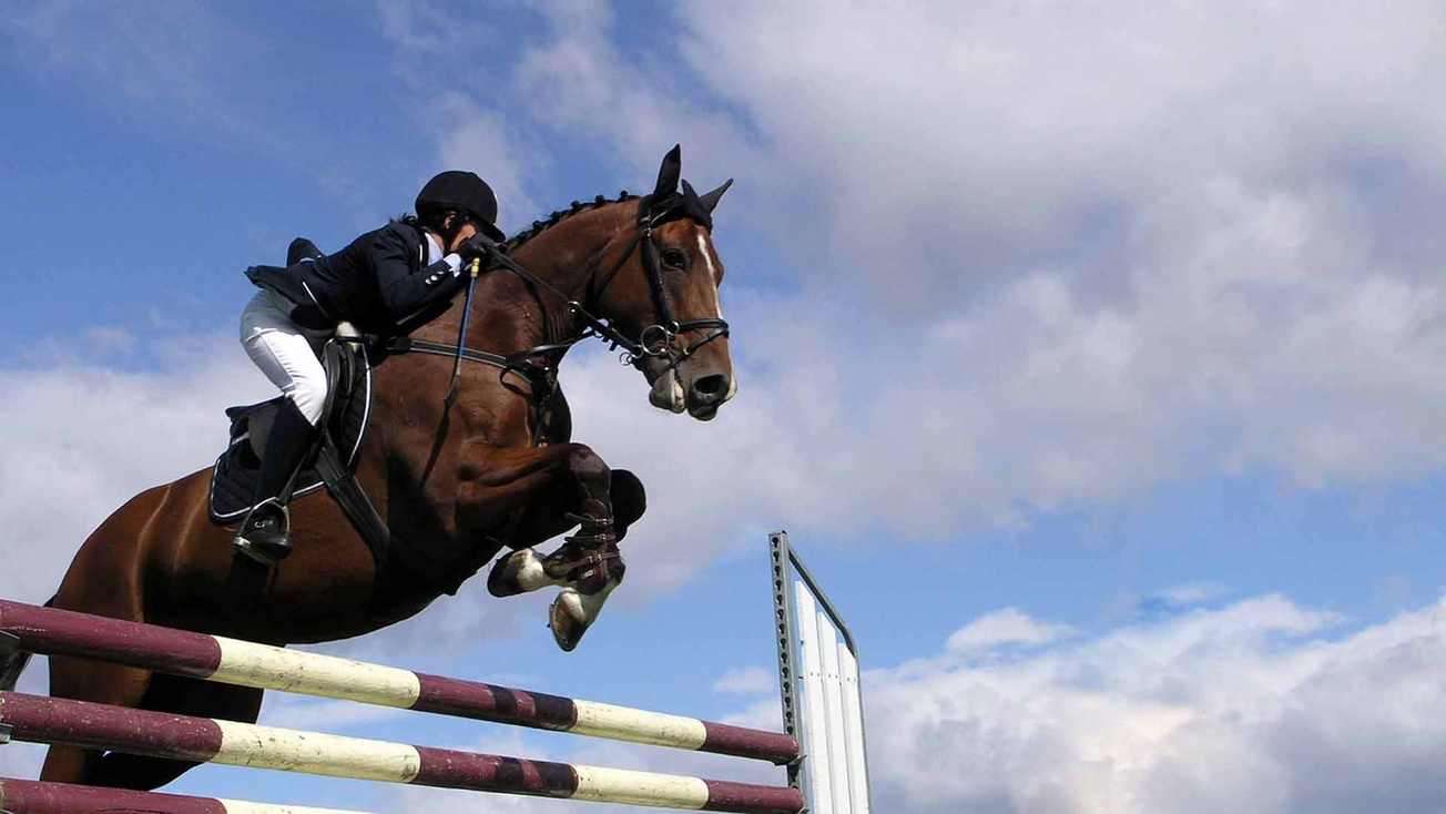 Изображение телепередачи: II Всероссийская спартакиада. Конкур. Приз Раиса Республики Татарстан. Прямая трансляция из Казани