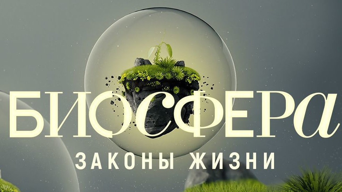 Изображение телепередачи: Биосфера. Законы жизни. Размножение
