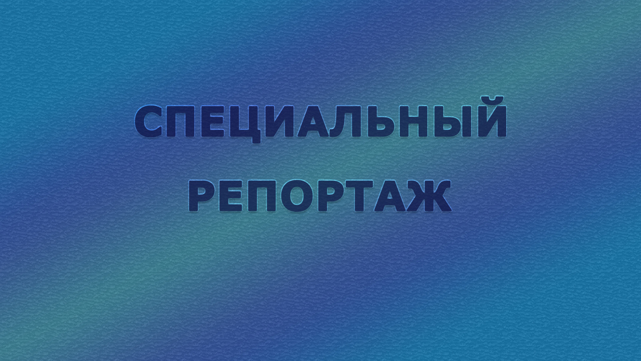 Изображение телепередачи: "Альфонсы. Ловушка для одиноких сердец". Специальный репортаж