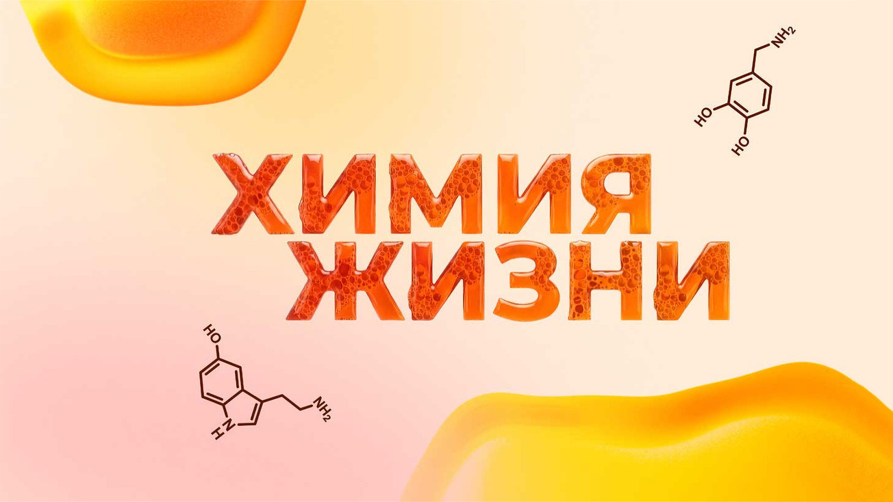 Изображение телепередачи: Химия жизни. 3-я серия