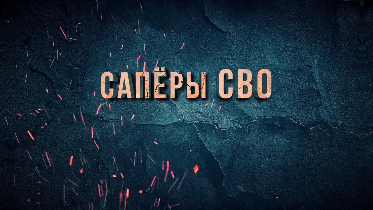 Изображение телепередачи: Саперы СВО