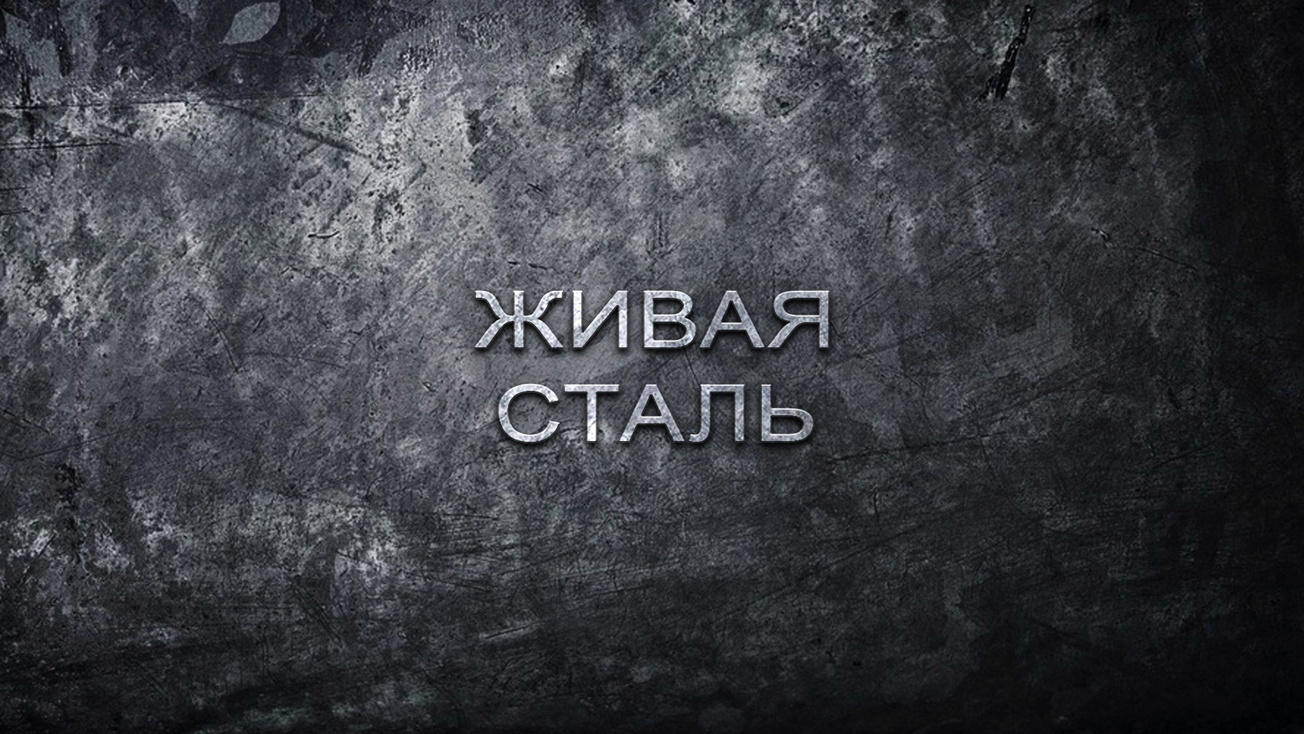 Изображение телепередачи: Живая сталь