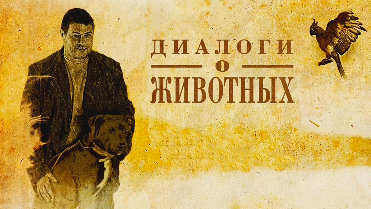 Изображение телепередачи: Диалоги о животных. Новосибирский зоопарк